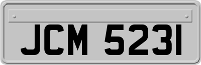 JCM5231