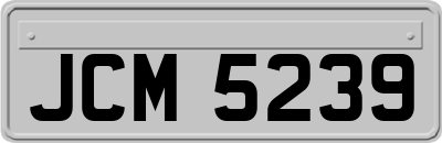 JCM5239