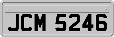 JCM5246