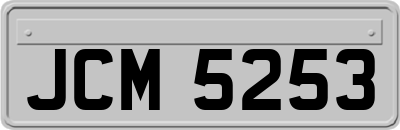 JCM5253