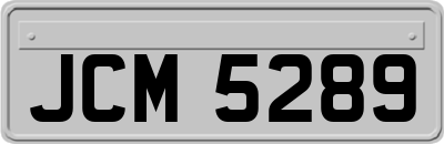 JCM5289