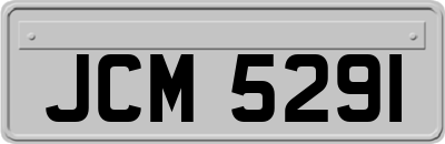 JCM5291