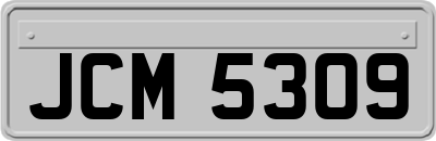 JCM5309