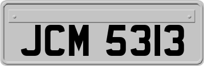 JCM5313