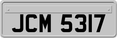 JCM5317