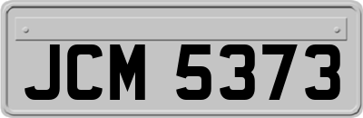 JCM5373