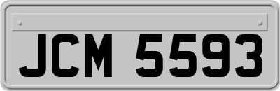 JCM5593
