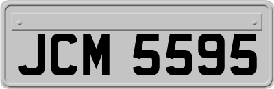 JCM5595