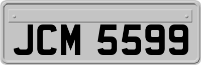 JCM5599