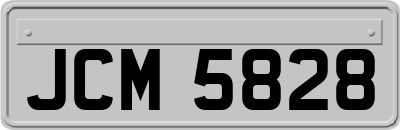 JCM5828
