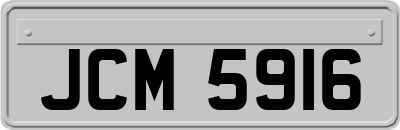 JCM5916