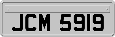 JCM5919