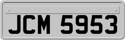 JCM5953