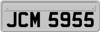 JCM5955
