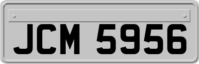 JCM5956