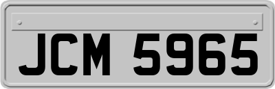 JCM5965