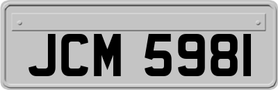JCM5981