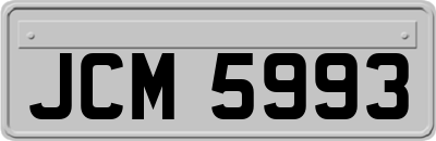 JCM5993