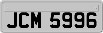 JCM5996