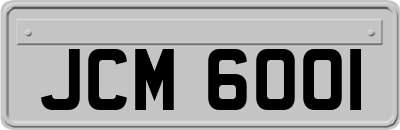 JCM6001