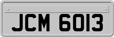 JCM6013
