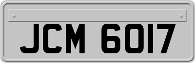 JCM6017