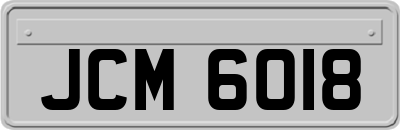 JCM6018