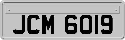 JCM6019
