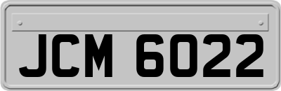 JCM6022