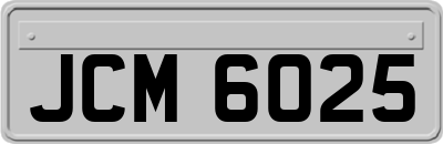 JCM6025