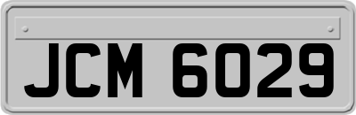 JCM6029