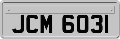 JCM6031
