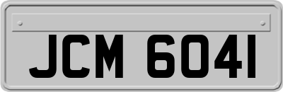 JCM6041