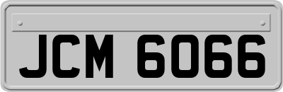 JCM6066