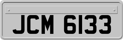 JCM6133
