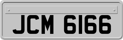 JCM6166