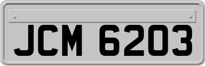 JCM6203