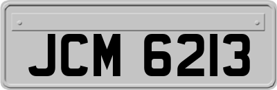 JCM6213
