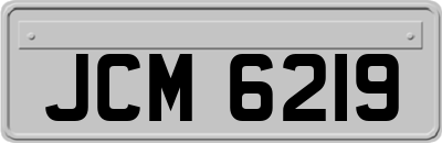 JCM6219