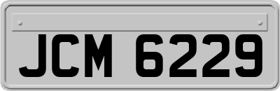 JCM6229