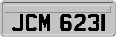 JCM6231