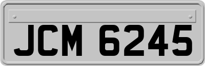 JCM6245