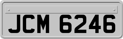 JCM6246