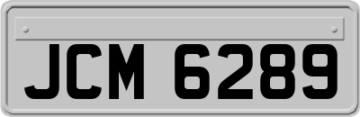 JCM6289