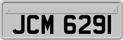 JCM6291