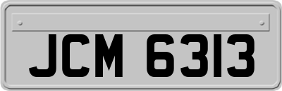 JCM6313