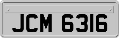 JCM6316