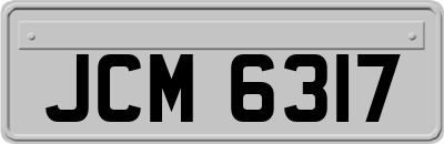 JCM6317
