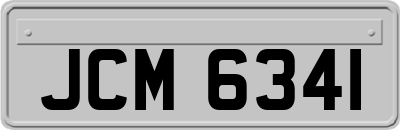 JCM6341