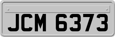 JCM6373